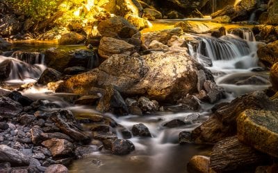 Convocatoria de un puesto post doctoral en ecología continental, funcionamiento de ecosistemas y patrones de alteración antropogénica