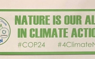 El ministerio de transición ecológica entregó al Gobierno Cubano los resultados de un proyecto de análisis de impactos del cambio climático en la costa.