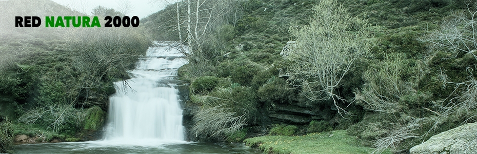 La red natura 2000 en cantabria, protagonista de la primera jornada de los seminarios de transferencia en ihcantabriaLa red natura 2000 en cantabria, protagonista de la primera jornada de los seminarios de transferencia en IHCantabria