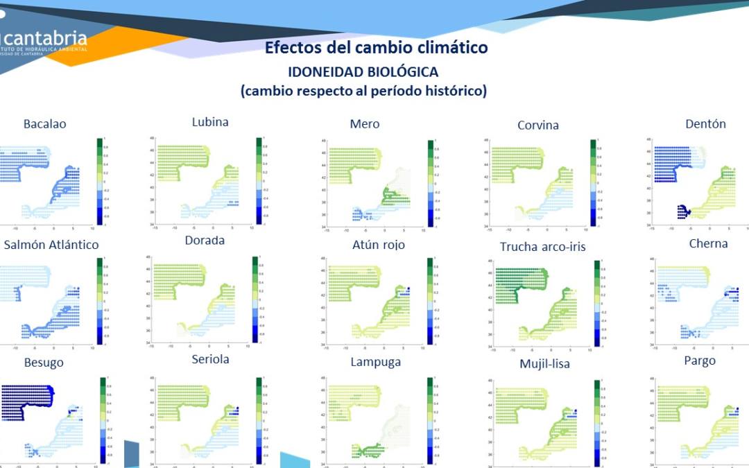 IHCantabria finaliza el proyecto ATLAS-PRO en el que analizamos los efectos del cambio climático para la acuicultura marina en aguas españolas