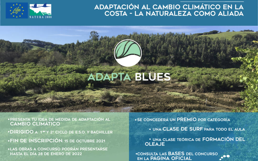 (Español) El proyecto LIFE ADAPTA BLUES pone en marcha su 1er concurso Adaptación al cambio climático en la costa – La naturaleza como aliada.