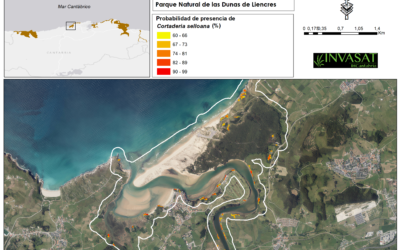 Las imágenes satélite obtenidas para el proyecto INVASAT de IHCantabria permiten la creación de mapas cartográficos de la distribución de especies invasoras de Cantabria