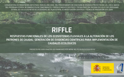 IHCANTABRIA COMIENZA EL PROYECTO RIFFLE, CUYO OBJETIVO ES GENERAR UN ECOSISTEMA DE CONOCIMIENTO QUE AYUDE A MEJORAR LOS ECOSISTEMAS FLUVIALES