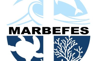 IHCantabria invites you to participate in the interactive process of the MARBEFES project, to know your perception on the marine ecosystem