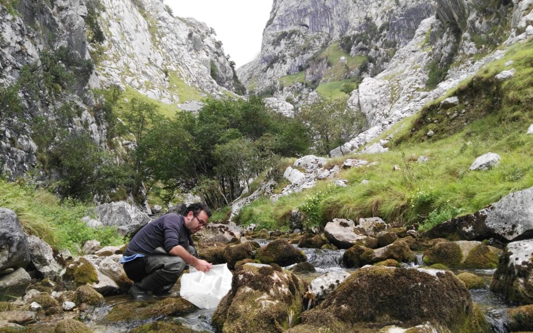 IHCantabria participa en un estudio que permite comprender la relación entre la salud de los ríos europeos y las métricas de biodiversidad