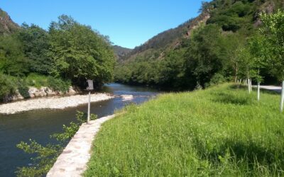 With the CONNECTFISH project, IHCantabria will evaluate the impact of dams on Iberian fish fauna in a multidisciplinary way