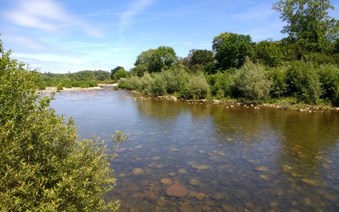 A workshop on the characterization of riparian vegetation addressed key challenges for the management of river ecosystems, at IHCantabria