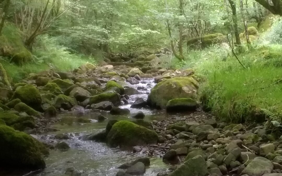 La investigadora Laura Concostrina recibe la Ayuda Ramón y Cajal para desarrollar un innovador proyecto en IHCantabria