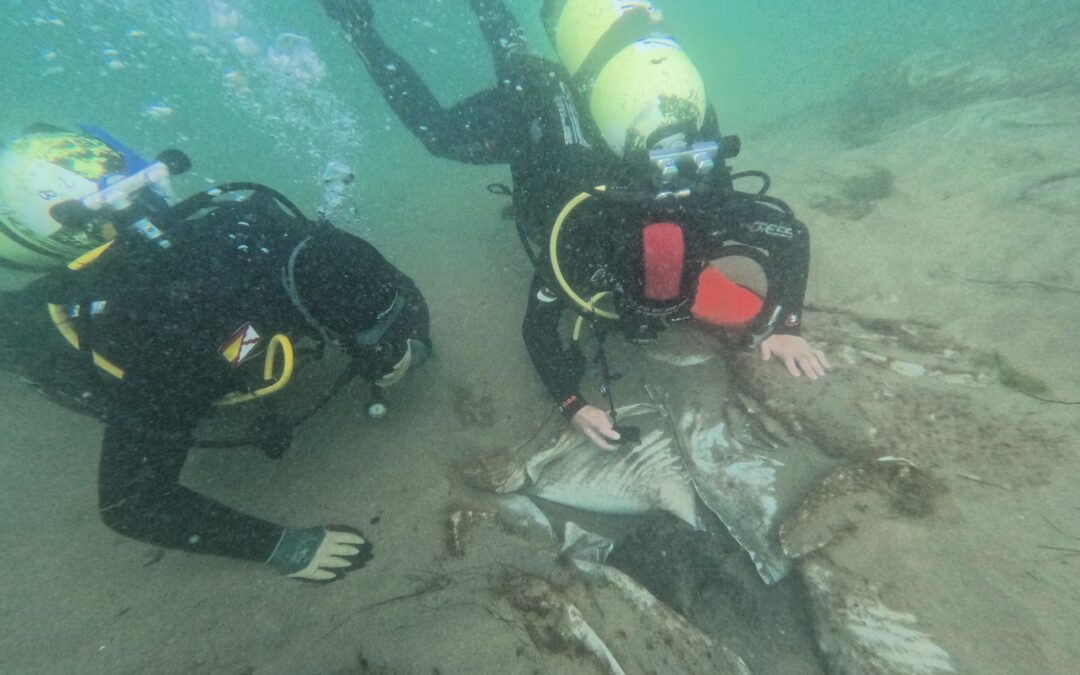 IHCantabria collaborates in the underwater archaeological research project and in situ conservation of the wreck ‘Almiranta’.