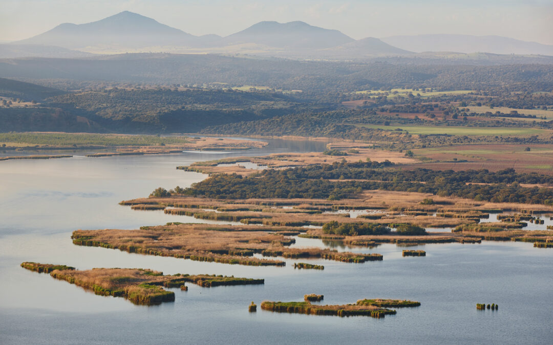 IHCantabria culmina con éxito el proyecto ViPEco y aporta un visor para el análisis de soluciones basadas en la naturaleza como medidas de protección costera