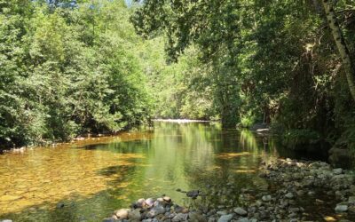 IHCantabria culmina el proyecto Cop.RIVER sobre el seguimiento de los paisajes fluviales con teledetección
