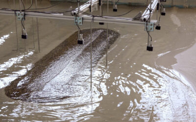 IHCantabria inicia los ensayos del proyecto SALIENTS para proteger las costas de la erosión