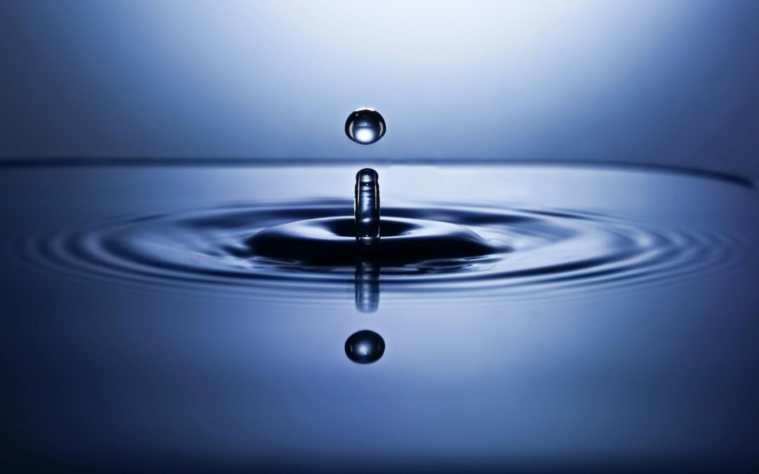 Celebrating World Water Day 2026