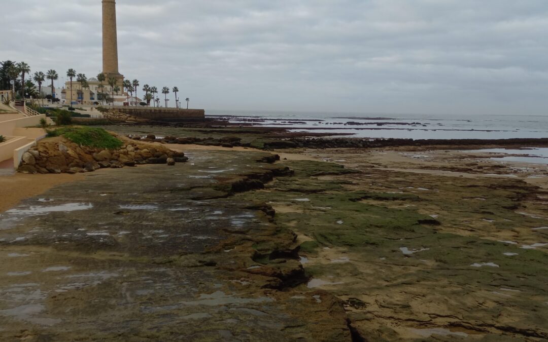 Ignacio AGuirre Ayerbe