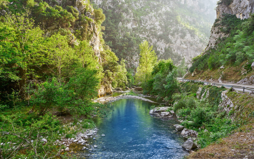 Deva river in Cantabria of Spain