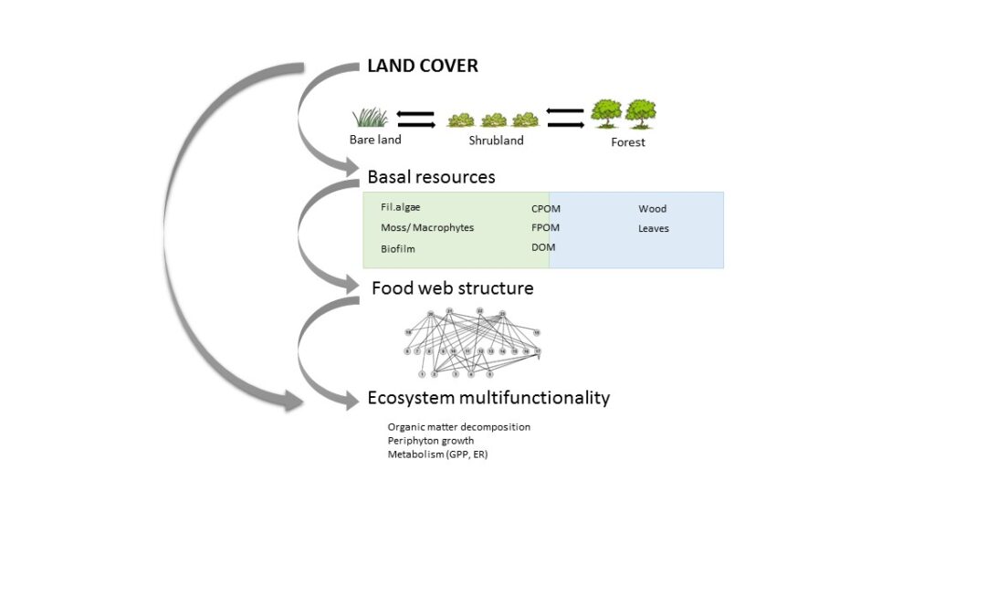 diagrama conceptual tesis Edurne